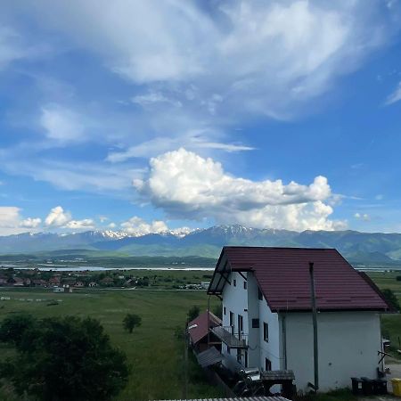 Pensiunea Iza Bradu  エクステリア 写真